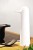 phoenix-_kitchenwhite_low.jpg